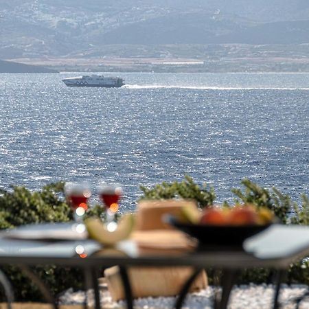 Dionysus House And Ariadne Apartment Stelida  Exterior photo