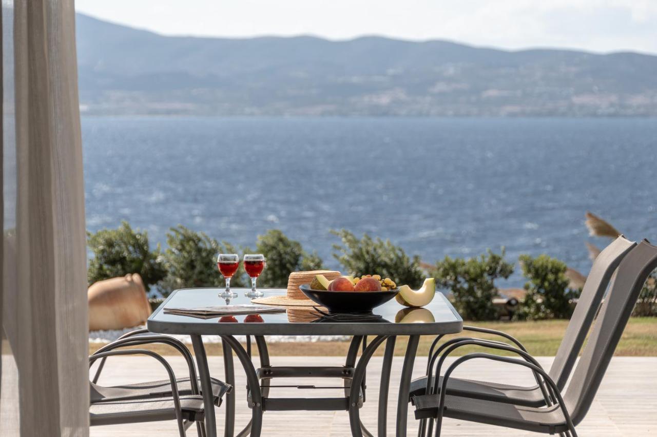 Dionysus House And Ariadne Apartment Stelida  Exterior photo