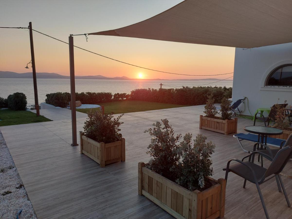 Dionysus House And Ariadne Apartment Stelida  Exterior photo